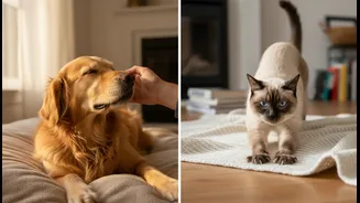 Dog and Cat Interactions May Shape Daily Stress and Mood Differently: What It Means for Pet Owners and Wellbeing Readers