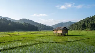 Work From Ziro Valley Homestays: Enjoy Arunachal Music Festival On Your Work Break