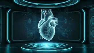 VR Classrooms With AI Mentors Guide Safe Anatomy Dissections
