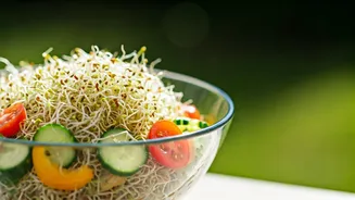 Vibrant Summer Sprouts Salad: A No-Cook Protein Powerhouse for Weight Loss