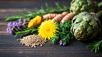 10 Herbs to Help Normalize Fatty Liver: A Natural Guide