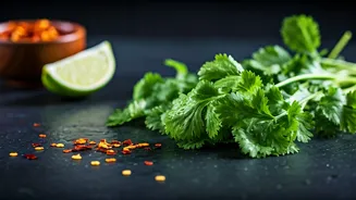 Unlock Culinary Magic: 5 Global Coriander Creations to Dazzle Your Guests