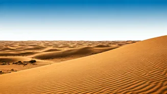 Exploring Rajasthan: A Traveler's Guide