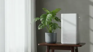 Simple Rainy Season Habits To Reduce Moisture Inside Your Home