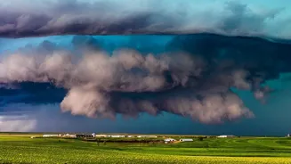 What a Stronger El Niño Could Mean for Rain, Farms and Prices