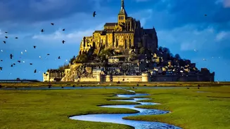 France's Fire Cloud Shows How Blazes Can Begin Making Weather