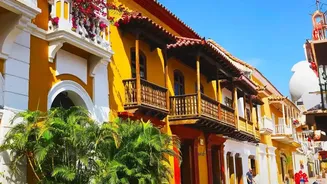 Flowering Plants Can Keep Small Indian Balconies Colourful Even As Monsoon Rains Ease