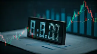 Navigating the Stock Market in India: Insights & Opportunities