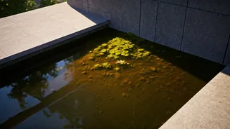Terrace Corners Can Hide Stagnant Water