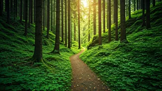 Escape the City: 8 Astonishing National Parks Near Mumbai for Your Next Weekend Getaway