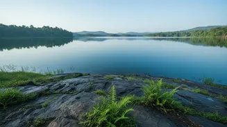 Ancient Pollen Beneath a Chhattisgarh Lake Adds New Context to Ancient Monsoon Research