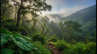 Planning A Western Ghats Trip? Read This First