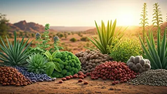 Rajasthan's Ayurvedic Legacy: Unlocking Medicinal Plant Potential and Promoting Traditional Wellness