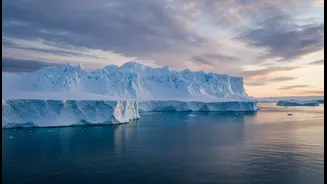 Fresh Findings Highlight Antarctica's Climate Importance