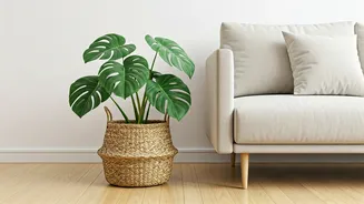 Minimalist Living Rooms Get Organic Upgrades Using Seagrass Basket Planters