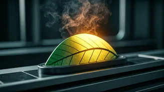 Photosynthesis-Inspired Tech: Turning CO2 and Water into Fuel