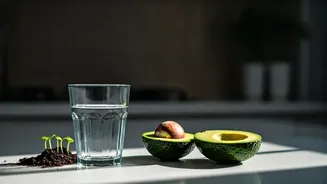 Unlock a Flatter Belly: 5 Lifestyle Tweaks for a Bloat-Free You!