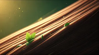 Related Stories banner