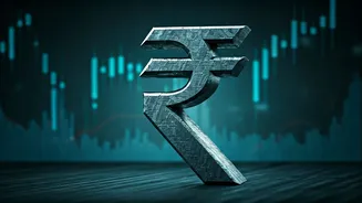 Indian Economy's Resilience Amidst Challenges