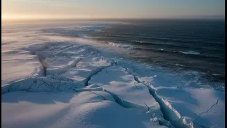 What Missing Antarctic Sea Ice Means For The Planet