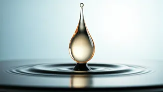 Unlock Smoother, Tastier Protein Shakes: Breakthrough in Whey Protein Processing