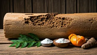 5 Natural Termite Solutions: Banish Deemak Without Harsh Chemicals
