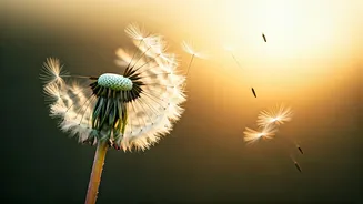 Byron Katie's Wisdom: Embrace Life's Flow, Discover Your Inner Peace