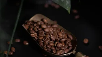Indian Single--Origin Coffees: Young Enthusiasts Move From Instant Powder To Estate Roasts