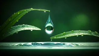 Hyaluronic Setting Sprays Are Essential For Extreme Monsoon Moisture