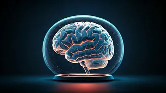 Keep Your Brain Young: Seven Proven Habits