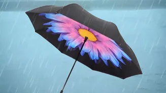 Monsoon Travel Planning: Read Forecasts Before Choosing Your Destination
