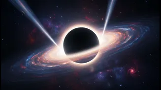 Why sudden activation of distant supermassive black hole remains top astronomy topic
