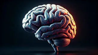 5 Mental Exercises for a Sharper Brain