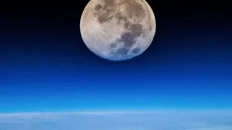 The Shower's Moon-Free Peak Still Cannot Overcome Thick Cloud Cover