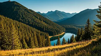 Greener Views Are Making June Trips Cheaper