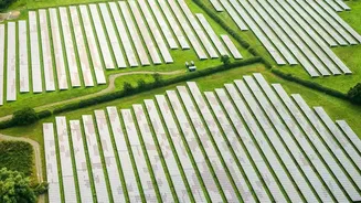 India's Latest Agrivoltaics Drive Keeps the Focus on Crop Shade and Water Use