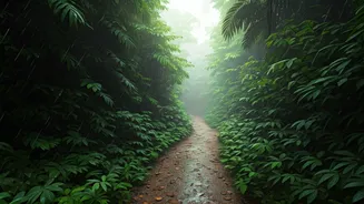 Monsoon Hiking Season Is Officially Here
