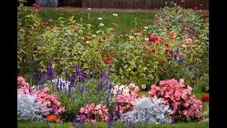 Month-Wise Gardening Tips for Indian Homes