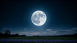 May 2026's Flower Moon: Your Guide to Viewing, Celestial Neighbors, and Traditions