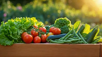 Cultivate Your Own Oasis: 5 Easy Summer Vegetables for a Thriving Home Garden