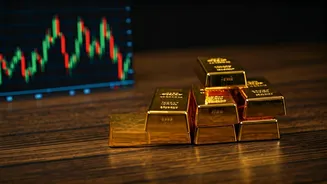 India's November Economic Snapshot: Exports Rise, Trade Dynamics Shift