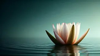 Bhagavad Gita's Wisdom: Master Your Duties Without Emotional Turmoil