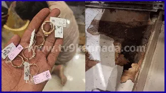 Rat steals Rs 10 lakh jewellery from Karnataka shop, hides it in his burrow