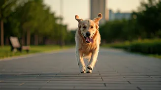 Urban Wellness Now Includes Furry Running Partners