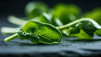 Unlock Vitality: 5 Surprising Ways Watercress Transforms Your Health
