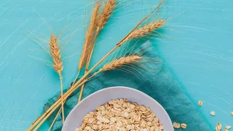 How Eating Fermentable Fiber Foods Improves Mood And Daily Mental Focus