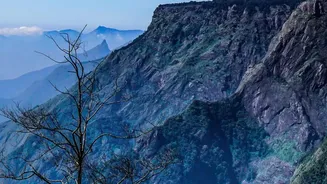 South India Winter Travel: Deciding Between Munnar and Ooty for a November Vacation