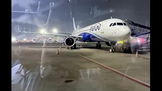 IndiGo shares snap seven-day losing streak but analysts expect stock to remain volatile