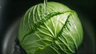 Say Goodbye to Cabbage Critters: Your Ultimate Guide to a Worm-Free Harvest