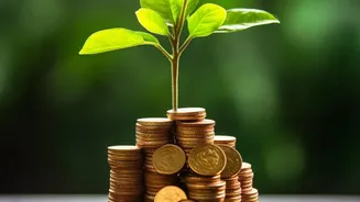 Why Daily UPI Micro Spending Accumulates Into Major Monthly Financial Problems